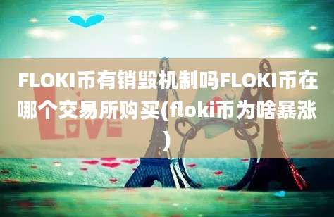 FLOKI币有销毁机制吗FLOKI币在哪个交易所购买(floki币为啥暴涨)