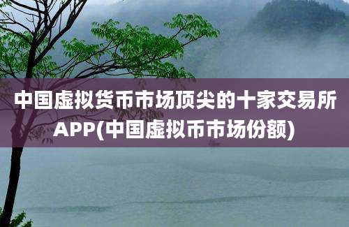 中国虚拟货币市场顶尖的十家交易所APP(中国虚拟币市场份额)