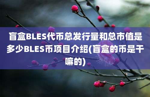 盲盒BLES代币总发行量和总市值是多少BLES币项目介绍(盲盒的币是干嘛的)