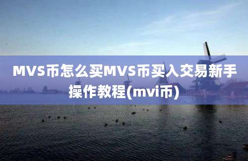 MVS币怎么买MVS币买入交易新手操作教程(mvi币)