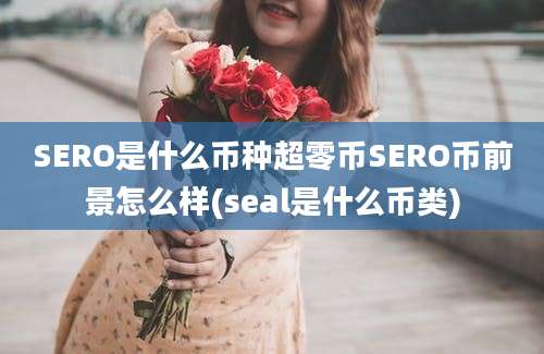 SERO是什么币种超零币SERO币前景怎么样(seal是什么币类)