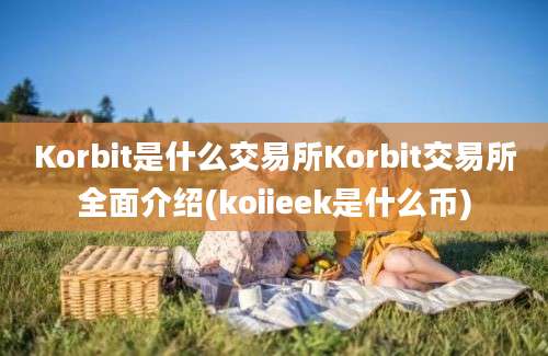 Korbit是什么交易所Korbit交易所全面介绍(koiieek是什么币)