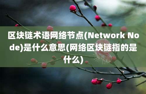 区块链术语网络节点(Network Node)是什么意思(网络区块链指的是什么)