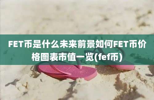 FET币是什么未来前景如何FET币价格图表市值一览(fef币)