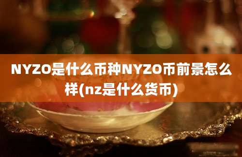 NYZO是什么币种NYZO币前景怎么样(nz是什么货币)