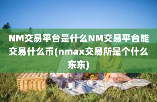 NM交易平台是什么NM交易平台能交易什么币(nmax交易所是个什么东东)