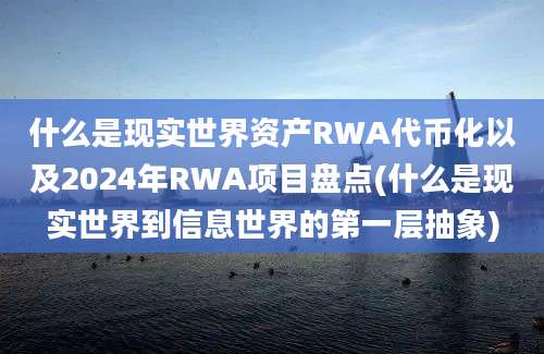 什么是现实世界资产RWA代币化以及2024年RWA项目盘点(什么是现实世界到信息世界的第一层抽象)