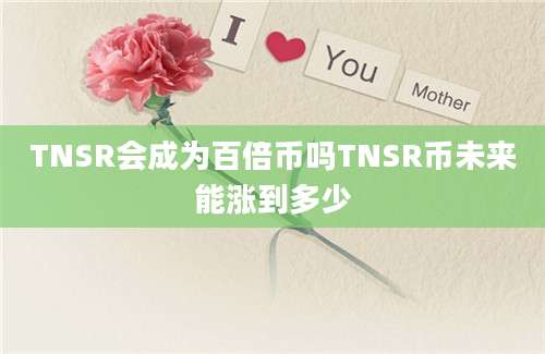 TNSR会成为百倍币吗TNSR币未来能涨到多少