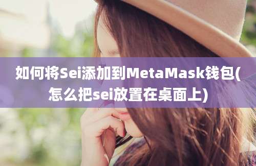 如何将Sei添加到MetaMask钱包(怎么把sei放置在桌面上)