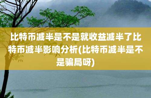 比特币减半是不是就收益减半了比特币减半影响分析(比特币减半是不是骗局呀)