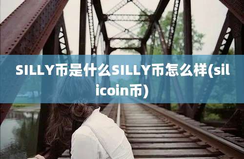 SILLY币是什么SILLY币怎么样(silicoin币)