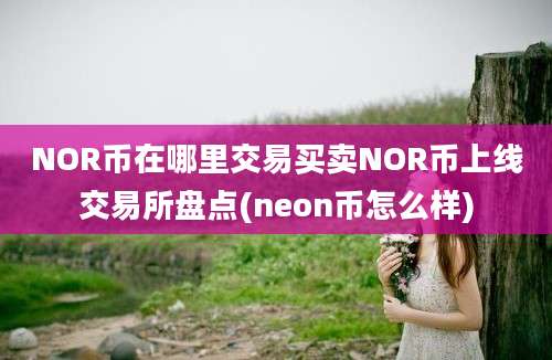 NOR币在哪里交易买卖NOR币上线交易所盘点(neon币怎么样)