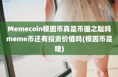 Memecoin模因币真是币圈之耻吗meme币还有投资价值吗(模因币是啥)