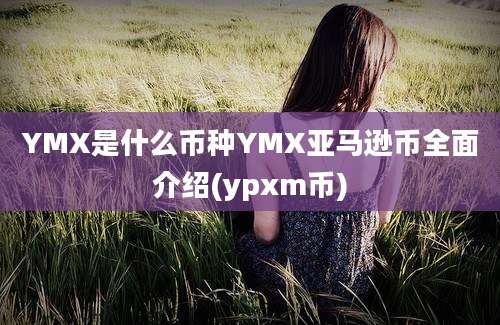 YMX是什么币种YMX亚马逊币全面介绍(ypxm币)