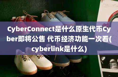 CyberConnect是什么原生代币Cyber即将公售 代币经济功能一次看(cyberlink是什么)