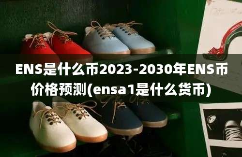 ENS是什么币2023-2030年ENS币价格预测(ensa1是什么货币)