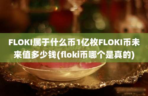 FLOKI属于什么币1亿枚FLOKI币未来值多少钱(floki币哪个是真的)