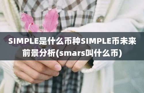 SIMPLE是什么币种SIMPLE币未来前景分析(smars叫什么币)