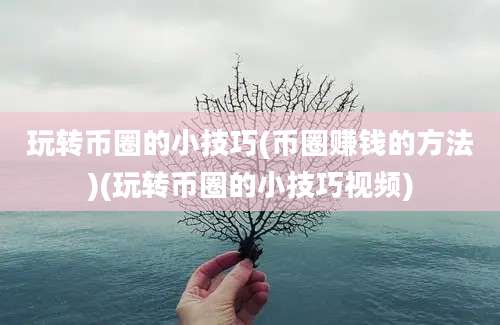 玩转币圈的小技巧(币圈赚钱的方法)(玩转币圈的小技巧视频)