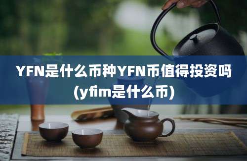 YFN是什么币种YFN币值得投资吗(yfim是什么币)