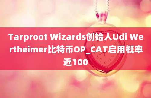 Tarproot Wizards创始人Udi Wertheimer比特币OP_CAT启用概率近100