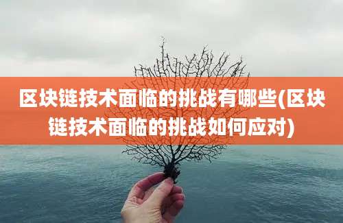 区块链技术面临的挑战有哪些(区块链技术面临的挑战如何应对)