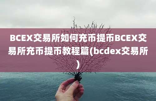 BCEX交易所如何充币提币BCEX交易所充币提币教程篇(bcdex交易所)