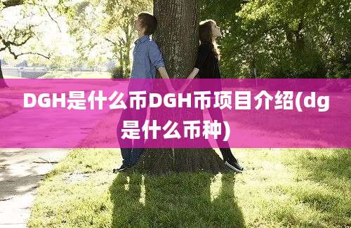 DGH是什么币DGH币项目介绍(dg是什么币种)