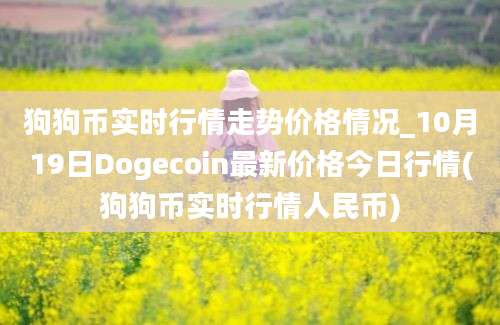 狗狗币实时行情走势价格情况_10月19日Dogecoin最新价格今日行情(狗狗币实时行情人民币)