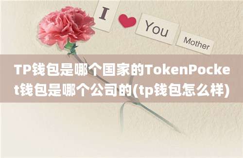 TP钱包是哪个国家的TokenPocket钱包是哪个公司的(tp钱包怎么样)