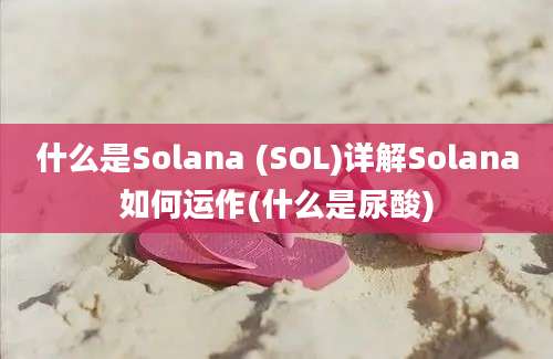 什么是Solana (SOL)详解Solana如何运作(什么是尿酸)