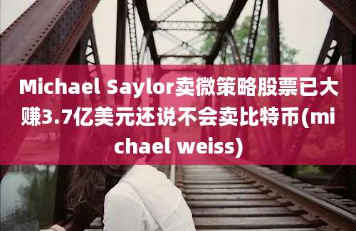 Michael Saylor卖微策略股票已大赚3.7亿美元还说不会卖比特币(michael weiss)