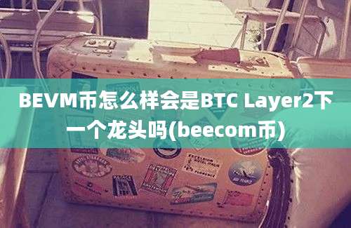 BEVM币怎么样会是BTC Layer2下一个龙头吗(beecom币)