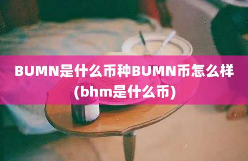 BUMN是什么币种BUMN币怎么样(bhm是什么币)