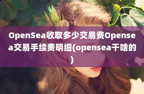 OpenSea收取多少交易费Opensea交易手续费明细(opensea干啥的)