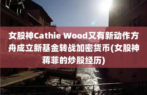 女股神Cathie Wood又有新动作方舟成立新基金转战加密货币(女股神蒋菲的炒股经历)