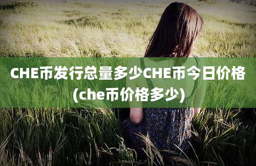 CHE币发行总量多少CHE币今日价格(che币价格多少)