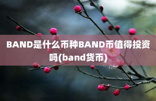 BAND是什么币种BAND币值得投资吗(band货币)