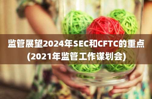 监管展望2024年SEC和CFTC的重点(2021年监管工作谋划会)