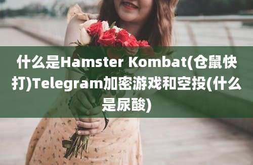 什么是Hamster Kombat(仓鼠快打)Telegram加密游戏和空投(什么是尿酸)