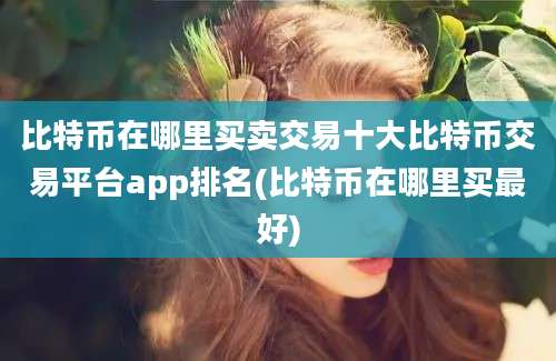 比特币在哪里买卖交易十大比特币交易平台app排名(比特币在哪里买最好)