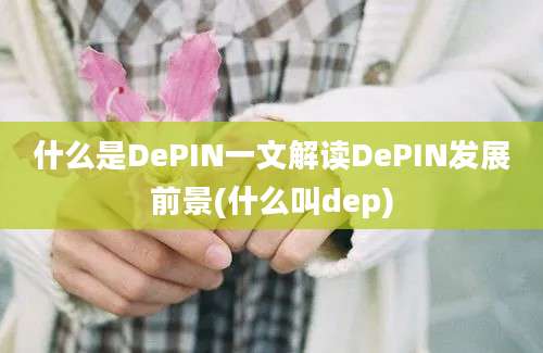 什么是DePIN一文解读DePIN发展前景(什么叫dep)