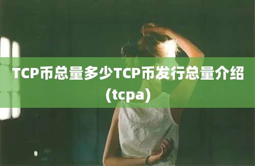 TCP币总量多少TCP币发行总量介绍(tcpa)