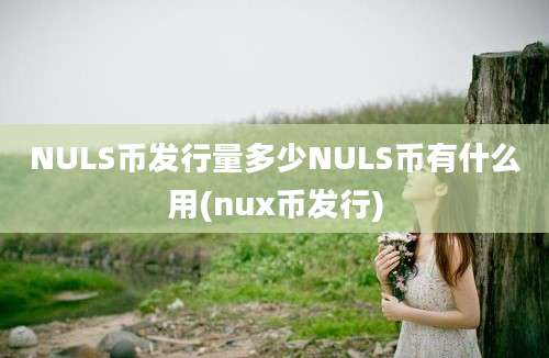 NULS币发行量多少NULS币有什么用(nux币发行)