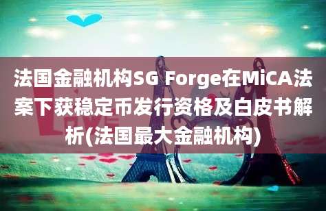 法国金融机构SG Forge在MiCA法案下获稳定币发行资格及白皮书解析(法国最大金融机构)