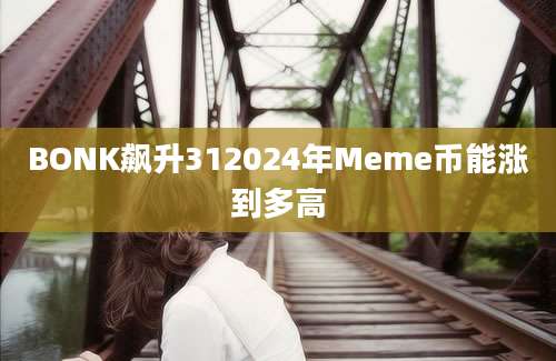 BONK飙升312024年Meme币能涨到多高