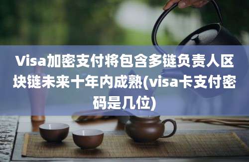 Visa加密支付将包含多链负责人区块链未来十年内成熟(visa卡支付密码是几位)