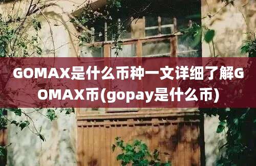 GOMAX是什么币种一文详细了解GOMAX币(gopay是什么币)