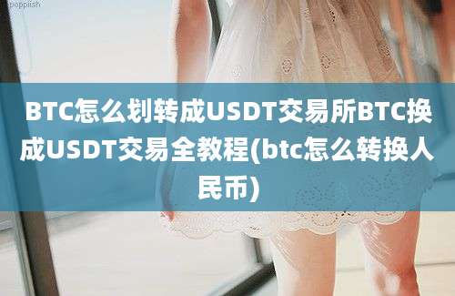 BTC怎么划转成USDT交易所BTC换成USDT交易全教程(btc怎么转换人民币)