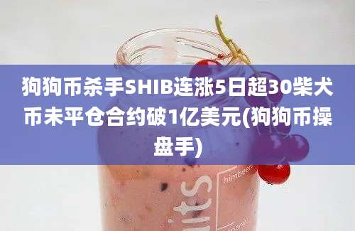 狗狗币杀手SHIB连涨5日超30柴犬币未平仓合约破1亿美元(狗狗币操盘手)